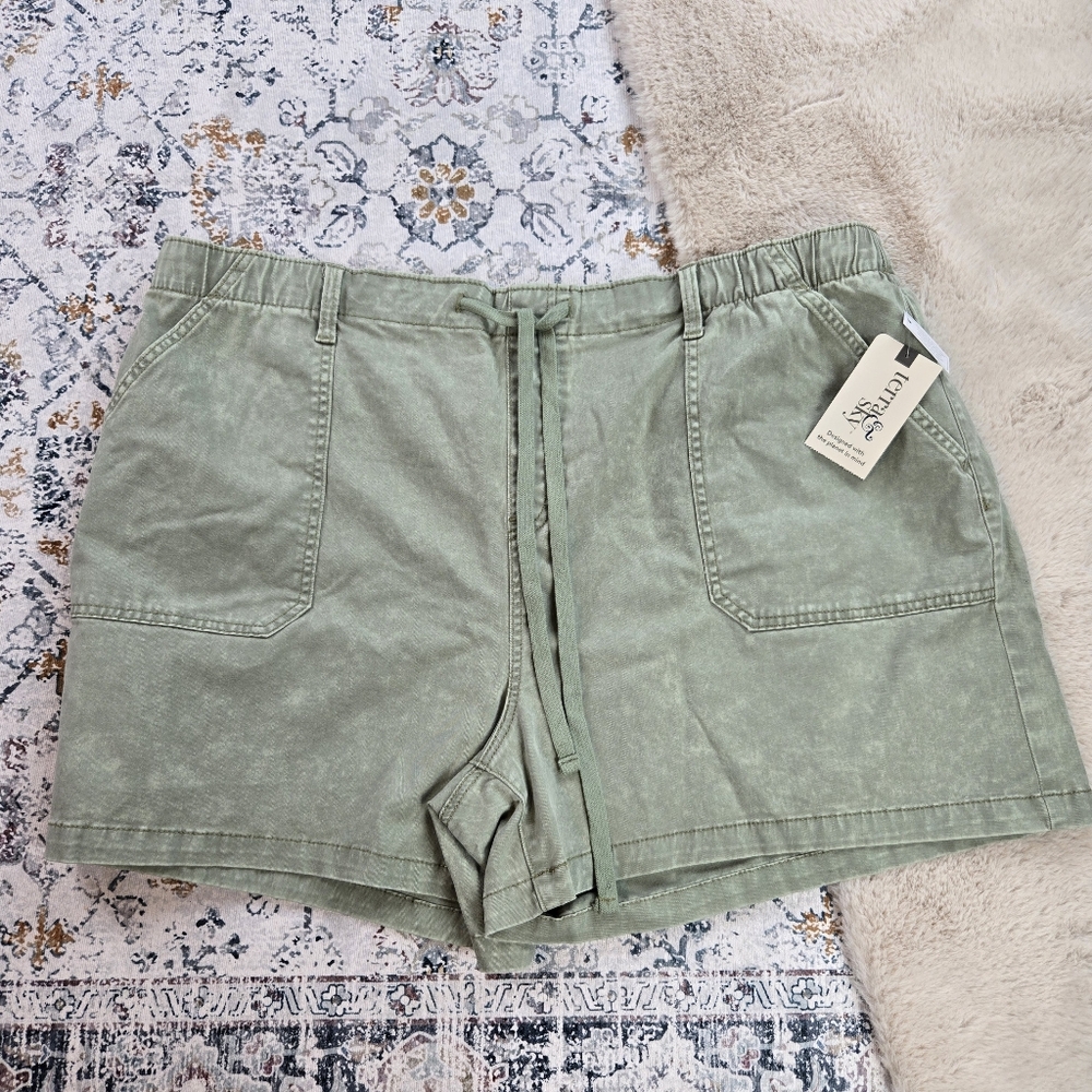 Terra & Sky Women’s Plus Size Pull On Denim Shorts Sage Wash Green 2X (20W-22W) - Picture 6 of 11